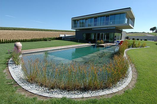 Villa Natural swimming pool landscape and design
