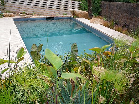 Small Natural swimming pool