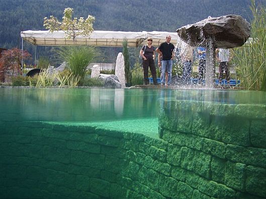 Natural swimming pool idea