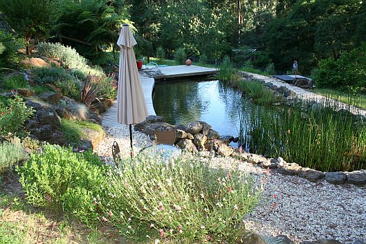 Peaceful Natural swimming pool landscape with pebbles