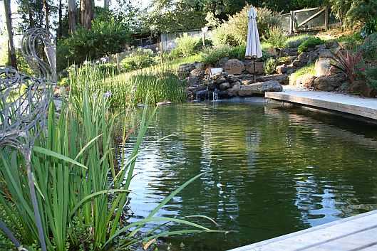 Best Natural swimming pool landscape with deck